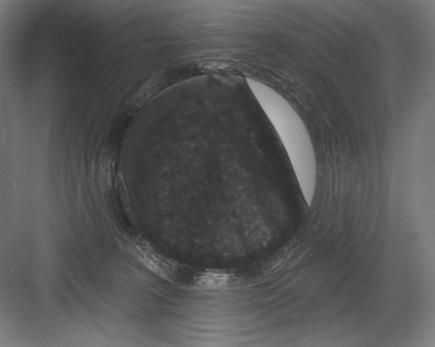X0000082180227200702092318