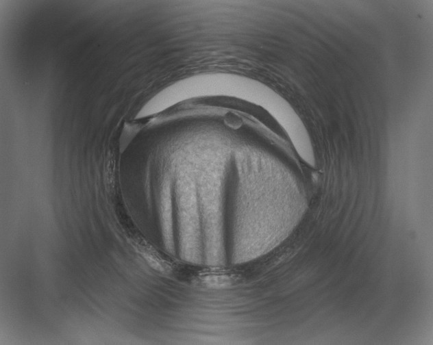 X0000082180228200702092318