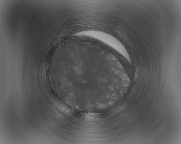 X0000082180229200702092317