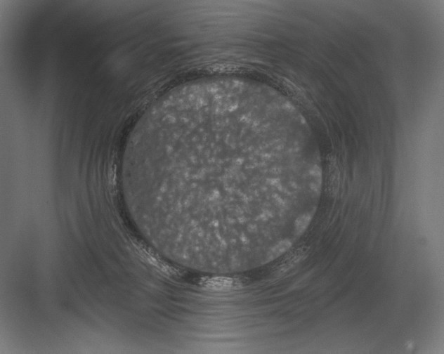 X0000082180230200702092317