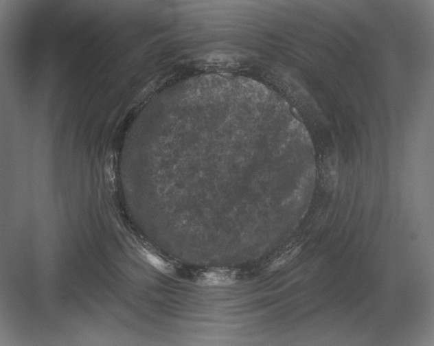 X0000082180232200702092317