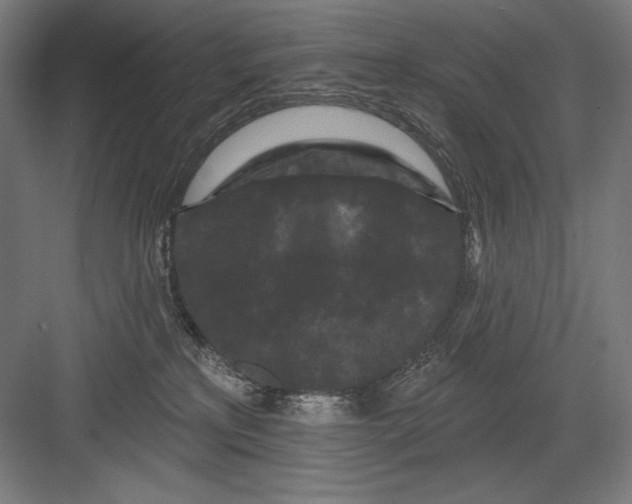 X0000082180233200702092317