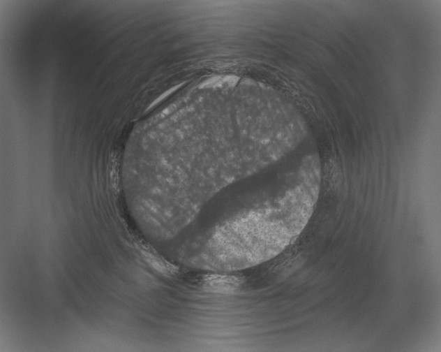 X0000082180234200702092317