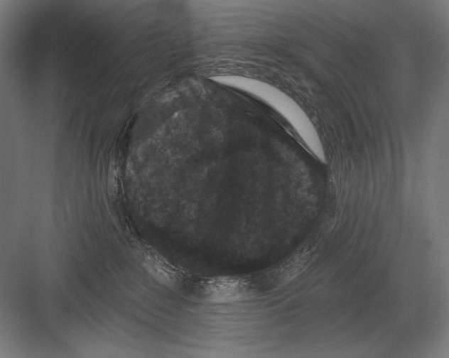 X0000082180235200702092317