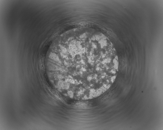 X0000082180236200702092317