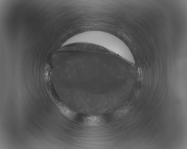 X0000082180237200702092317