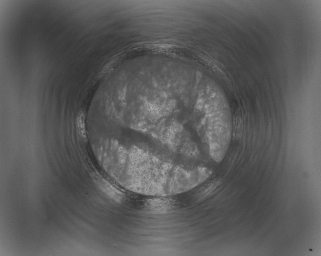X0000082180238200702092317