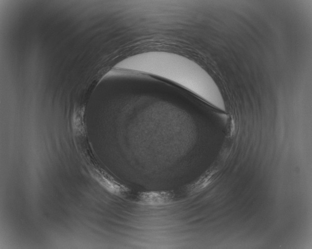 X0000082180239200702092317
