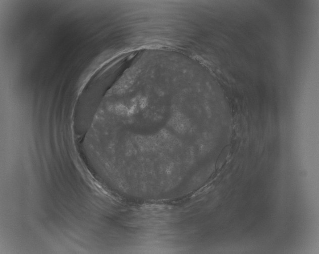 X0000082180242200702092317
