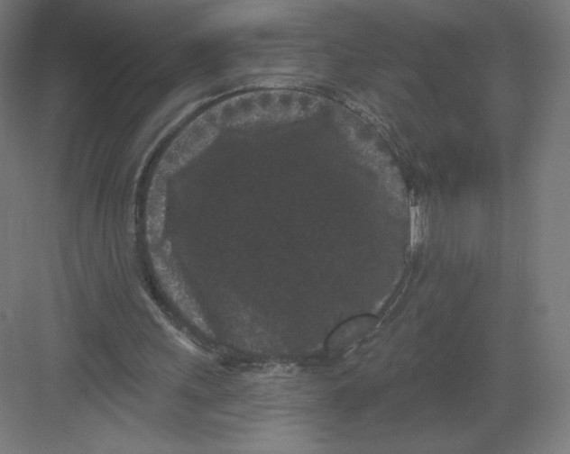 X0000082180243200702092317