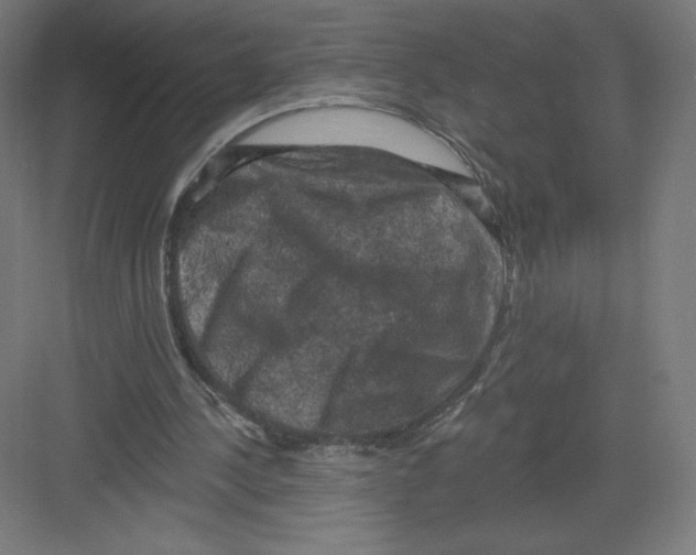 X0000082180244200702092317