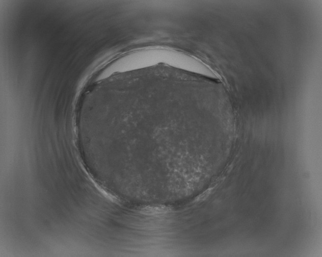 X0000082180245200702092317