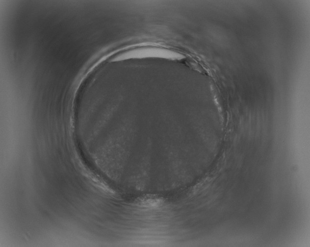 X0000082180247200702092317
