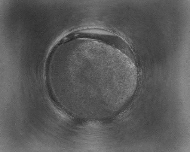 X0000082180248200702092317