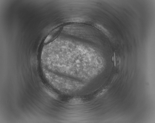 X0000082180252200702092317