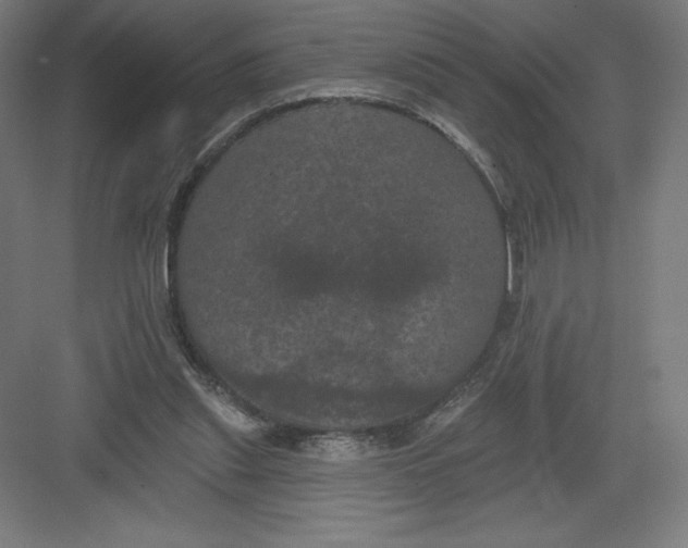 X0000082180253200702092317
