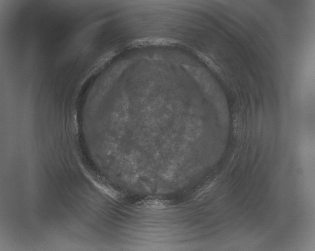 X0000082180254200702092317