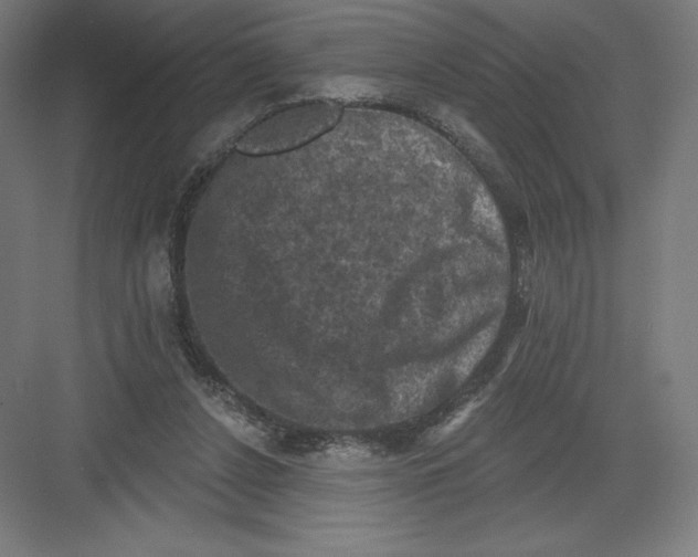 X0000082180256200702092317