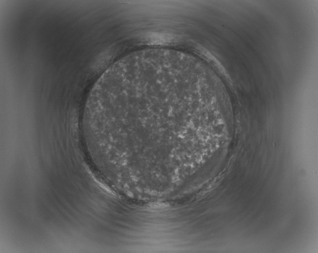 X0000082180257200702092317