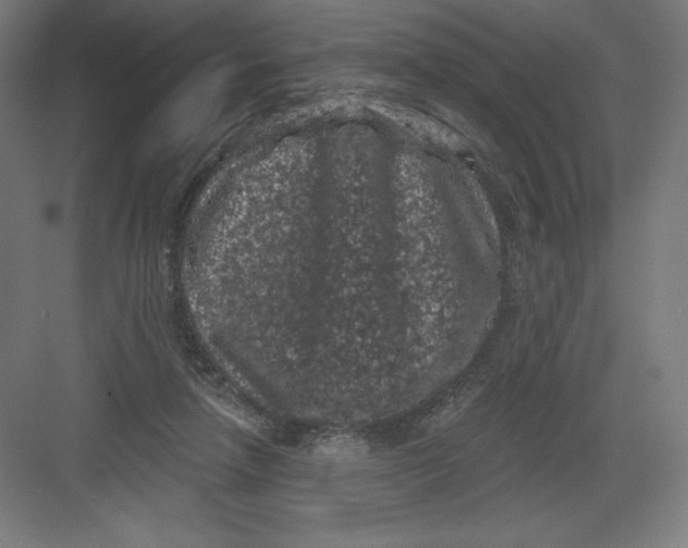 X0000082180258200702092317