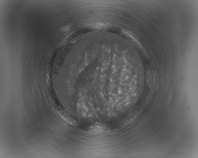 X0000082180259200702092317