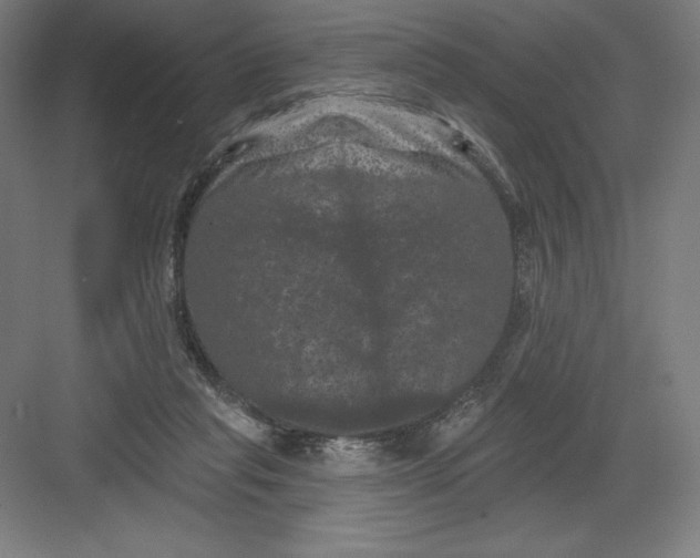 X0000082180261200702092317
