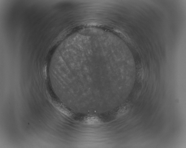 X0000082180262200702092317
