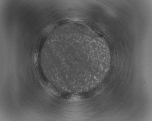 X0000082180263200702092317