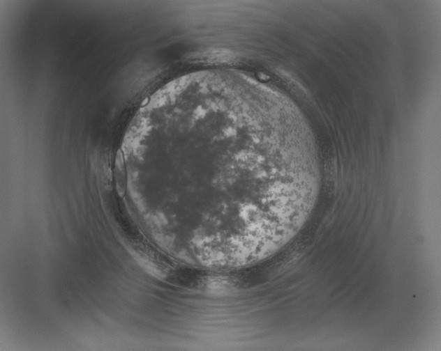 X0000082180264200702092317