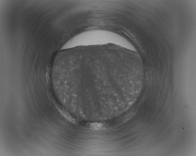 X0000082180265200702092317