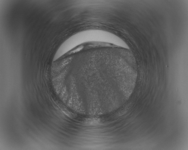 X0000082180266200702092317