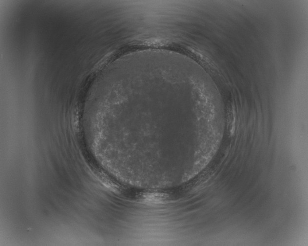 X0000082180268200702092317