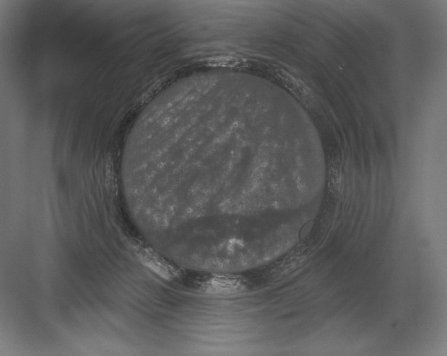 X0000082180270200702092317
