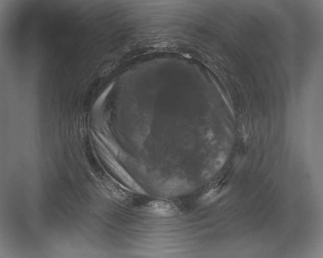 X0000082180272200702092317