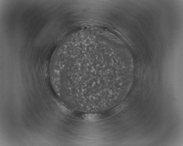 X0000082180273200702092317