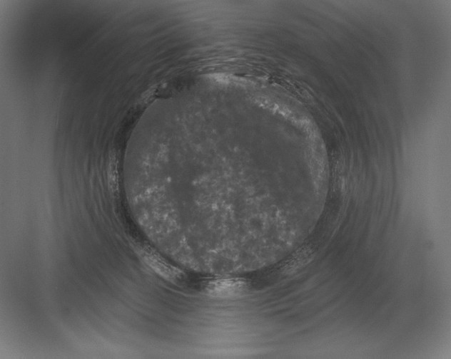 X0000082180274200702092317
