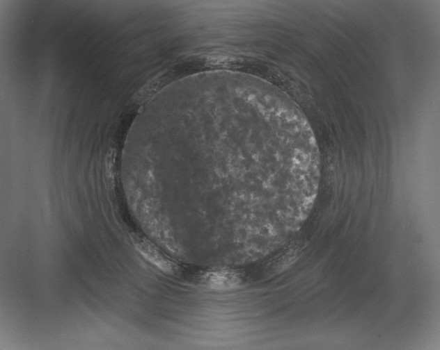 X0000082180275200702092317