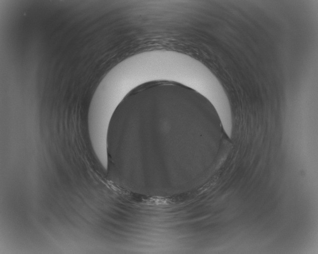 X0000082180276200702092317