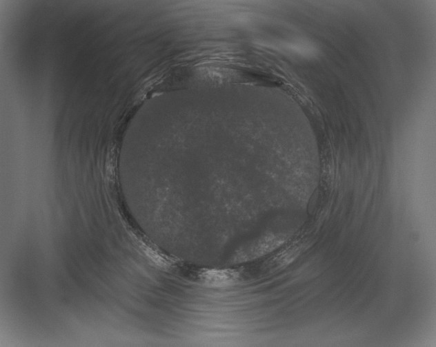 X0000082180277200702092317