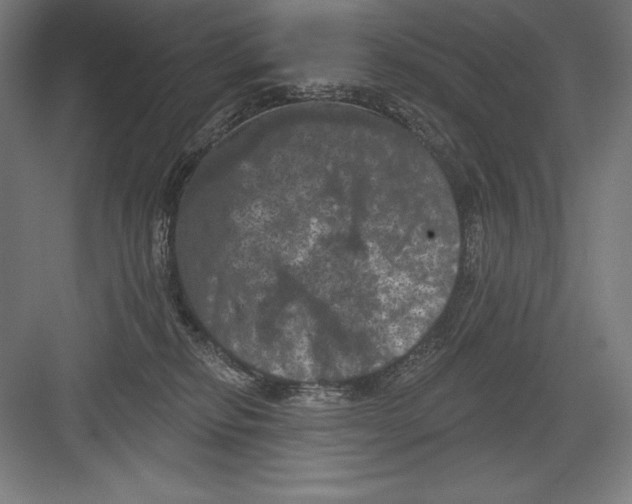 X0000082180278200702092317