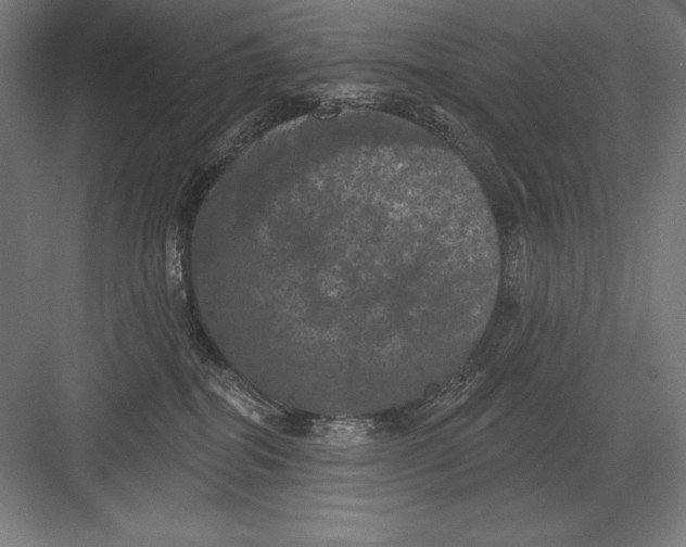 X0000082180282200702092317