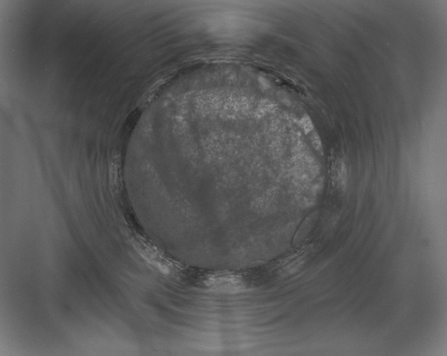 X0000082180283200702092317