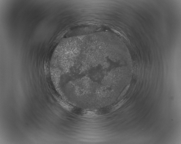 X0000082180285200702092317