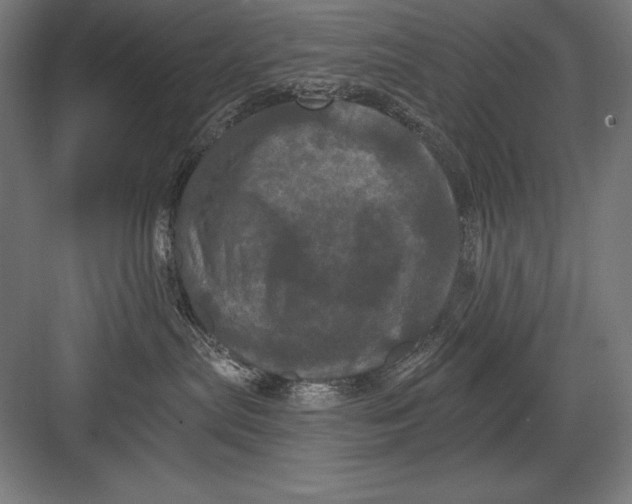 X0000082180287200702092317