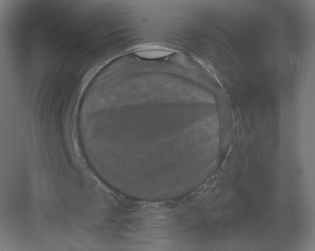 X0000082180289200702092316
