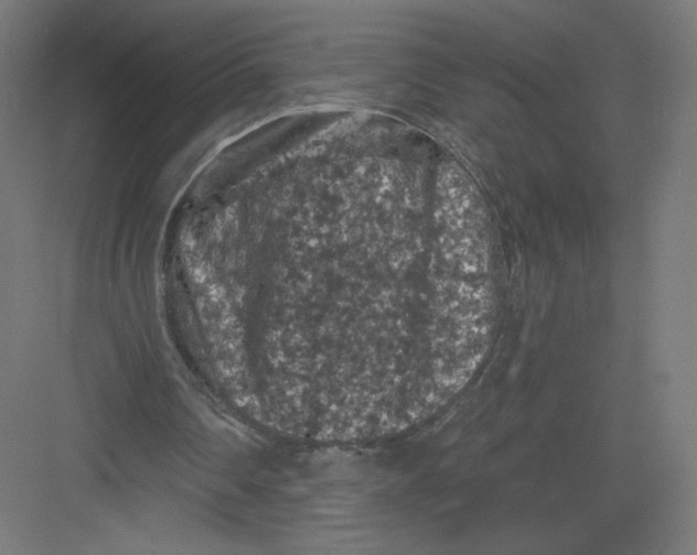 X0000082180290200702092316