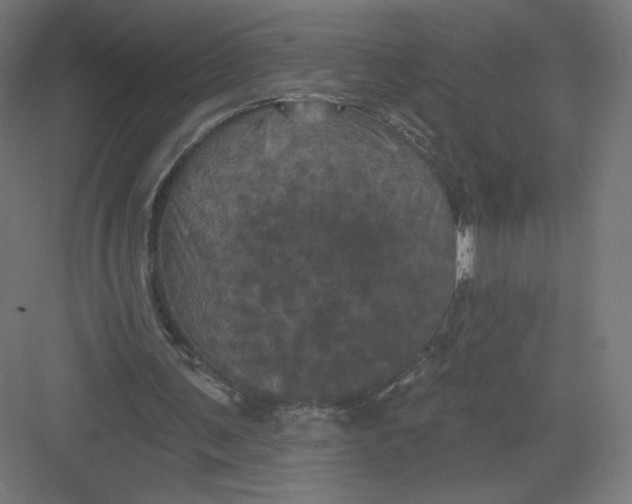 X0000082180291200702092316