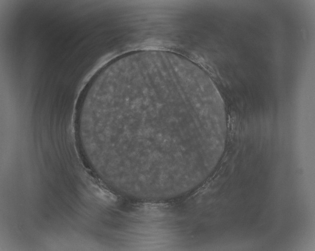 X0000082180292200702092316