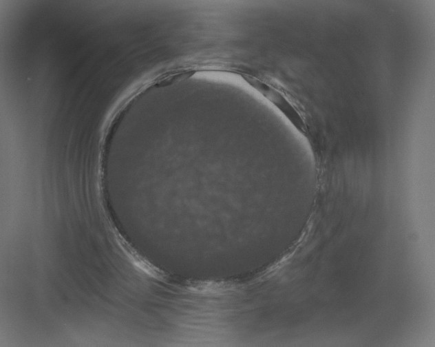 X0000082180293200702092316