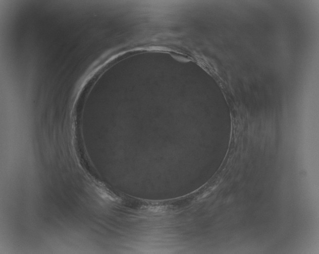 X0000082180295200702092316
